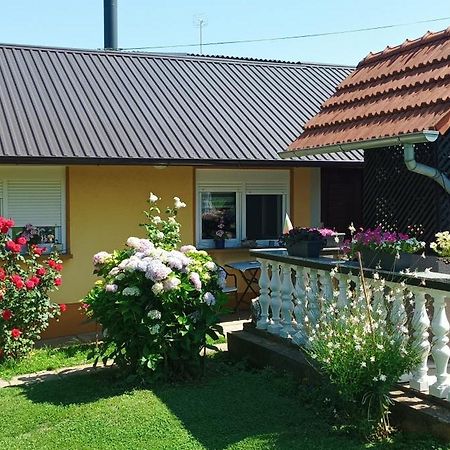 Apartmán Dobrodosli Mursko Sredisce Exteriér fotografie